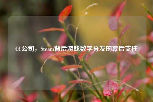 CC公司,Steam背后游戏数字分发的幕后支柱
