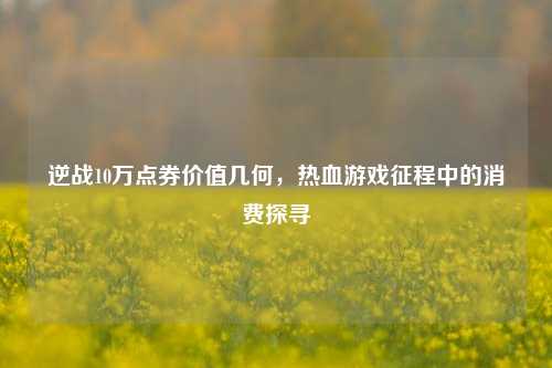 逆战10万点券价值几何,热血游戏征程中的消费探寻