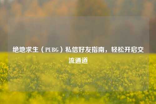 绝地求生(PUBG)私信好友指南,轻松开启交流通道