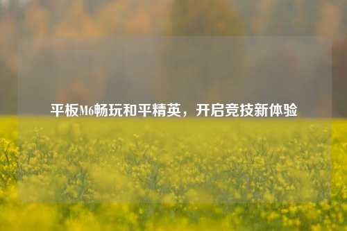 平板M6畅玩和平精英,开启竞技新体验