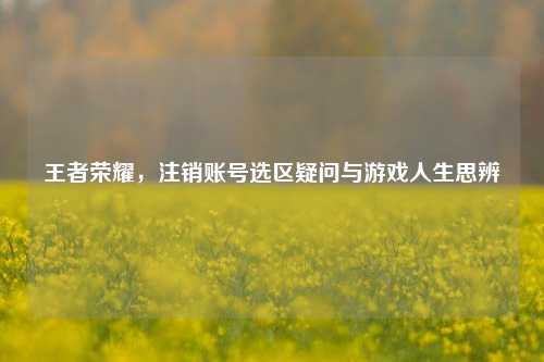 王者荣耀,注销账号选区疑问与游戏人生思辨