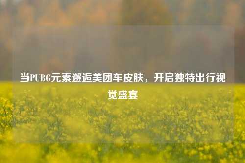 当PUBG元素邂逅美团车皮肤,开启独特出行视觉盛宴