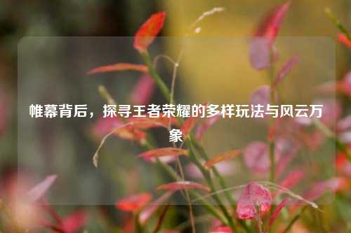 帷幕背后,探寻王者荣耀的多样玩法与风云万象
