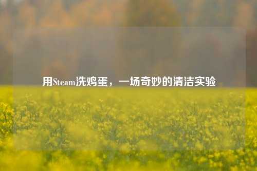 用Steam洗鸡蛋,一场奇妙的清洁实验