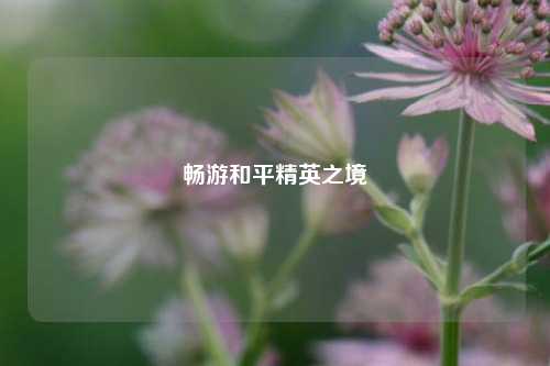 畅游和平精英之境