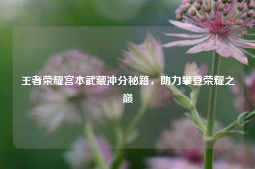王者荣耀宫本武藏冲分秘籍,助力攀登荣耀之巅
