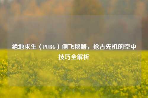 绝地求生(PUBG)侧飞秘籍,抢占先机的空中技巧全解析