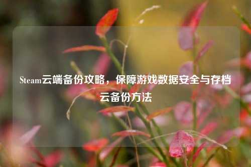 Steam云端备份攻略,保障游戏数据安全与存档云备份
