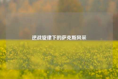 逆战旋律下的萨克斯风采