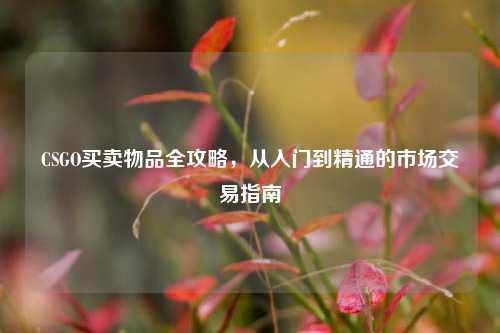 CSGO买卖物品全攻略,从入门到精通的市场交易指南