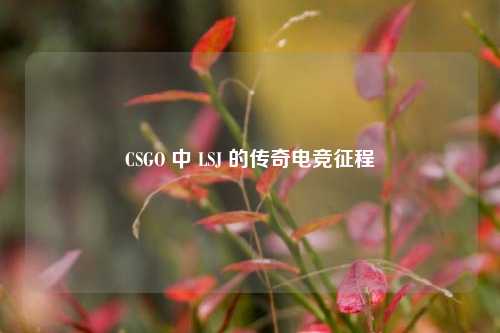 CSGO 中 LSJ 的传奇电竞征程