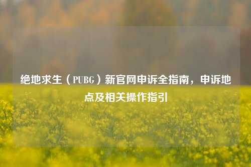 绝地求生(PUBG)新官网申诉全指南,申诉地点及相关操作指引