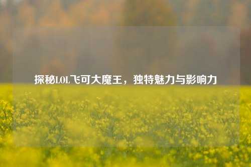 探秘LOL飞可大魔王,独特魅力与影响力