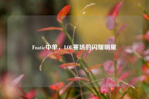 Fnatic中单,LOL赛场的闪耀明星