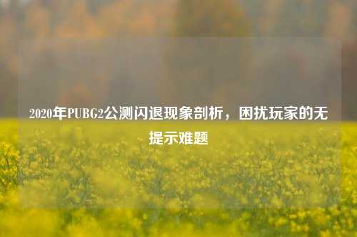 2020年PUBG2公测闪退现象剖析,困扰玩家的无提示难题