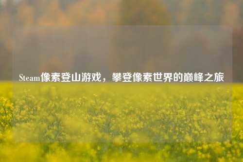 Steam像素登山游戏,攀登像素世界的巅峰之旅