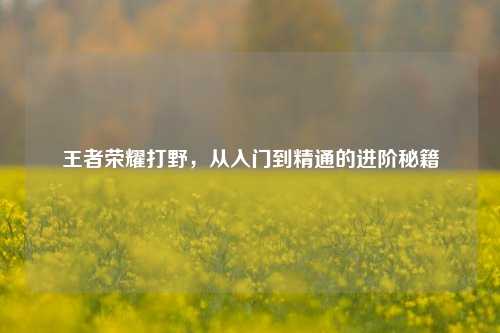 王者荣耀打野,从入门到精通的进阶秘籍