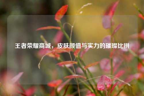 王者荣耀商城，皮肤颜值与实力的璀璨比拼