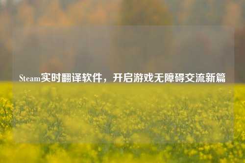 Steam实时翻译软件,开启游戏无障碍交流新篇