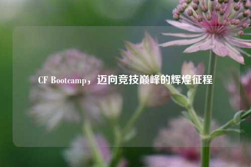 CF Bootcamp,迈向竞技巅峰的辉煌征程