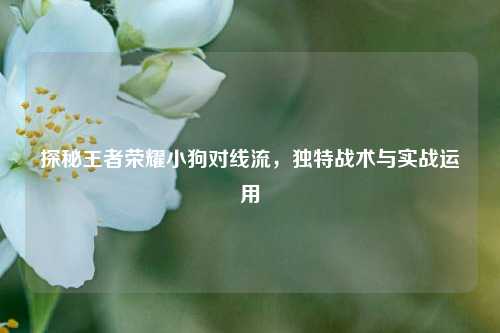 探秘王者荣耀小狗对线流,独特战术与实战运用
