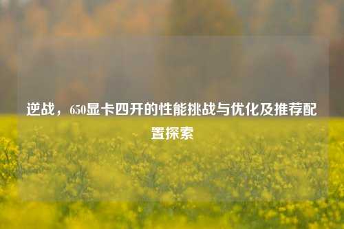 逆战,650显卡四开的性能挑战与优化及推荐配置探索