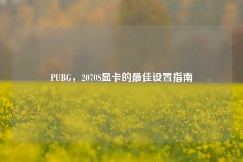 PUBG，2070S显卡的最佳设置指南
