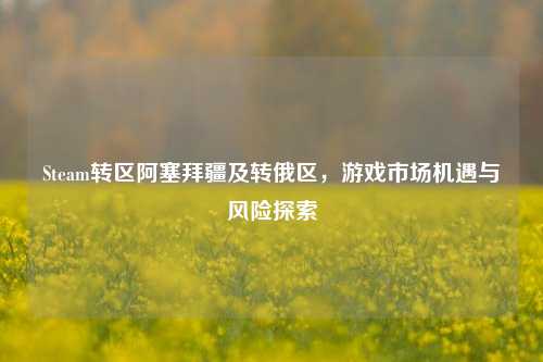 Steam转区阿塞拜疆及转俄区,游戏市场机遇与风险探索