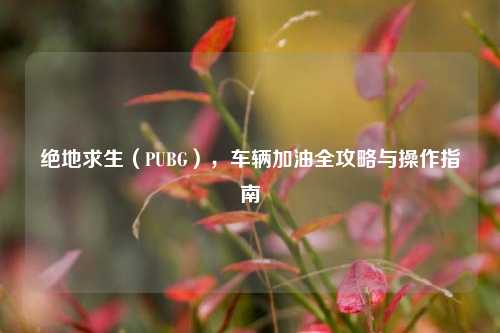绝地求生(PUBG),车辆加油全攻略与操作指南