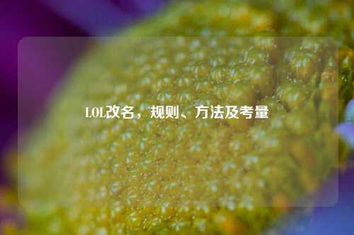 LOL改名,规则、方法及考量