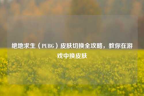 绝地求生(PUBG)皮肤切换全攻略,教你在游戏中换皮肤