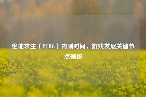 绝地求生（PUBG）内测时间，游戏发展关键节点揭秘
