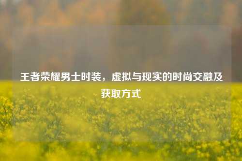 王者荣耀男士时装,虚拟与现实的时尚交融及获取方式
