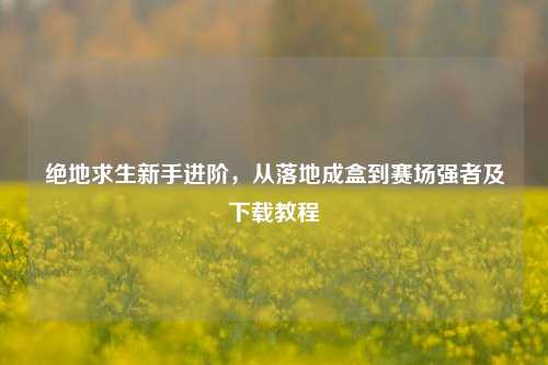 绝地求生新手进阶,从落地成盒到赛场强者及下载教程
