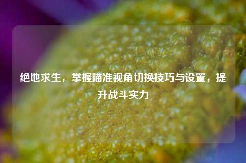 绝地求生，掌握瞄准视角切换技巧与设置，提升战斗实力