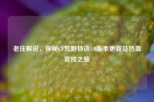 老庄解说,探秘CF荒野特训1.0版本更新及热血竞技之旅