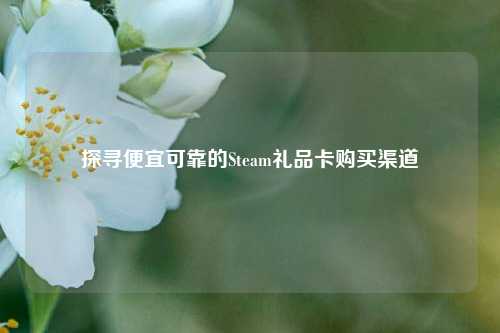 探寻便宜可靠的Steam礼品卡购买渠道