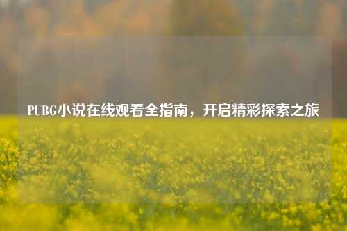 PUBG小说在线观看全指南，开启精彩探索之旅
