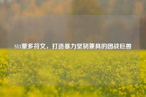 S11蒙多符文，打造暴力坚韧兼具的团战巨兽