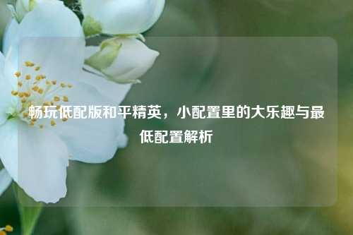 畅玩低配版和平精英,小配置里的大乐趣与最低配置解析